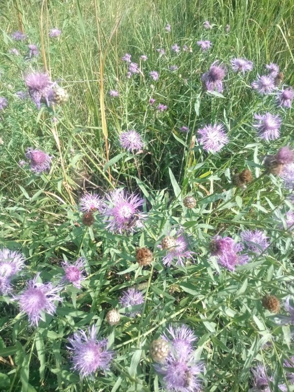 Обложка альбома