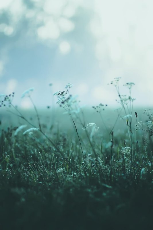 Обложка альбома