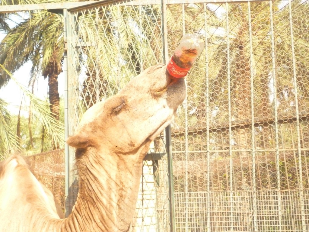 Обложка альбома