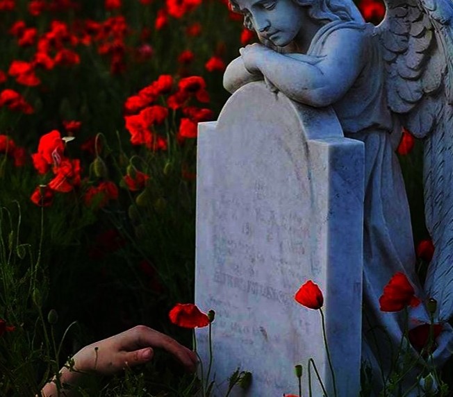 Обложка альбома