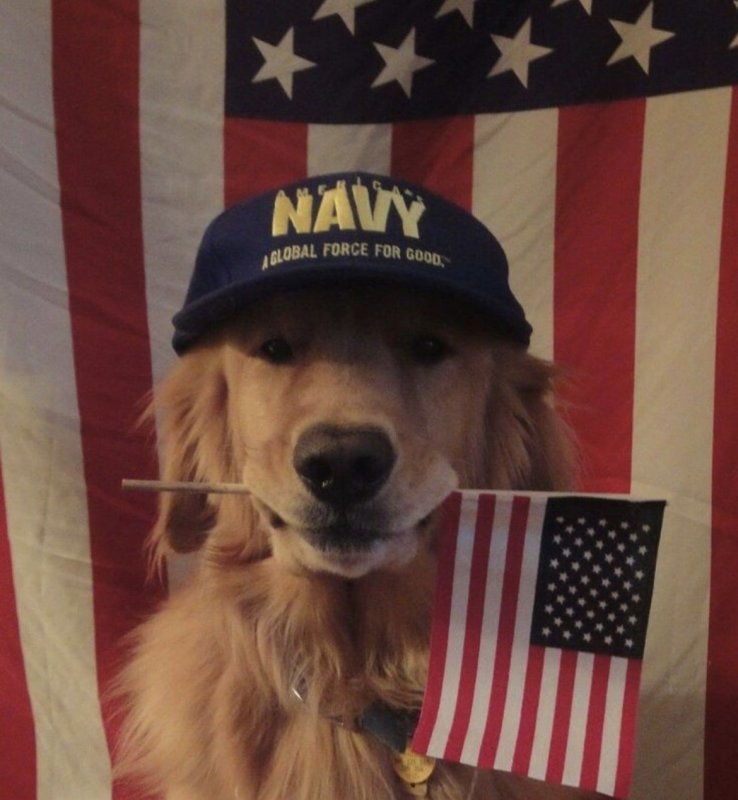 Обложка альбома