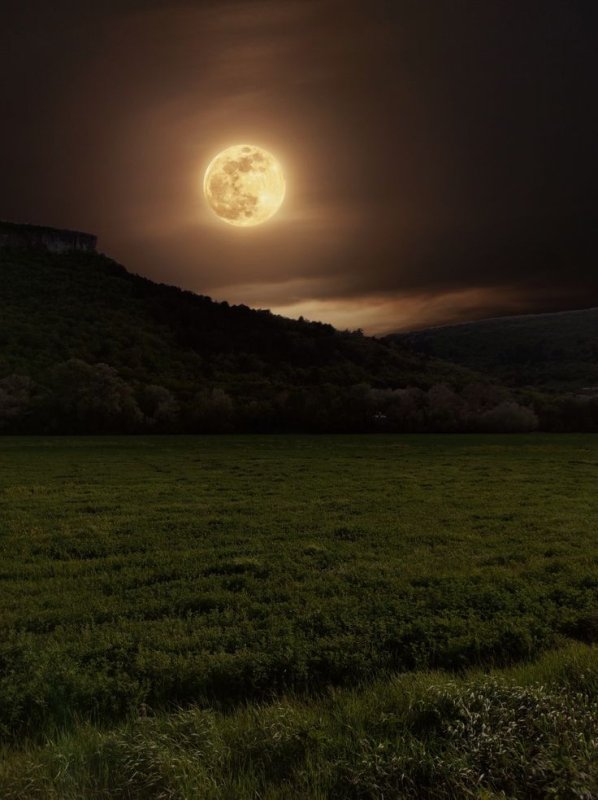 Обложка альбома