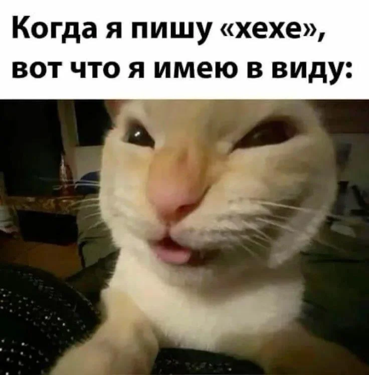 Обложка альбома