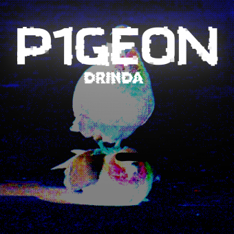 P1GEON DRINDA
