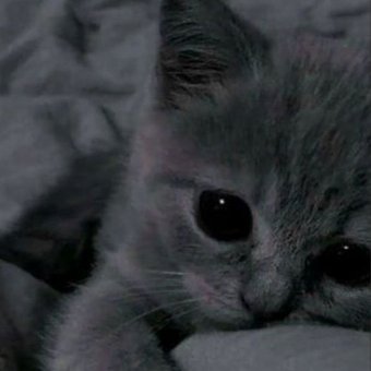 Обнимай - обложка альбома