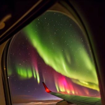 Жизнь удивляет