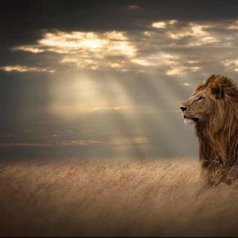 Моё творчество