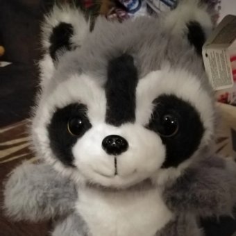 По следам жизни