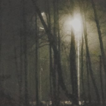 Müll - обложка альбома