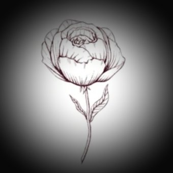 Ночь - обложка альбома