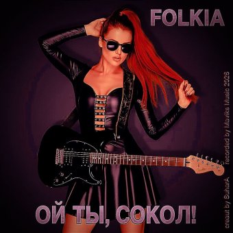 ОЙ ТЫ, СОКОЛ !