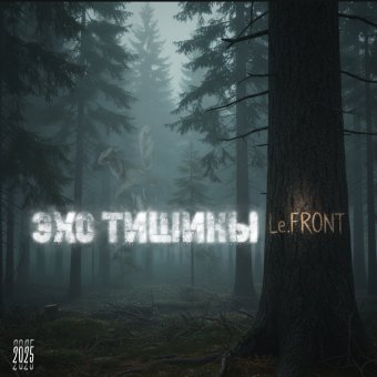 Эхо тишины (2025)