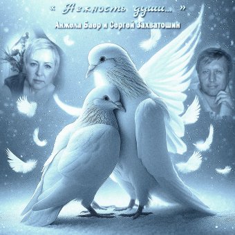 Нежность души... - обложка альбома