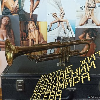 Инструментальные хиты в исполнении - обложка альбома