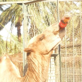 Настроение