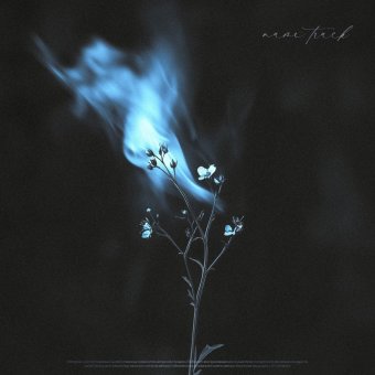 Dreamscape - обложка альбома