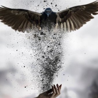 Ваня Дмитриенко