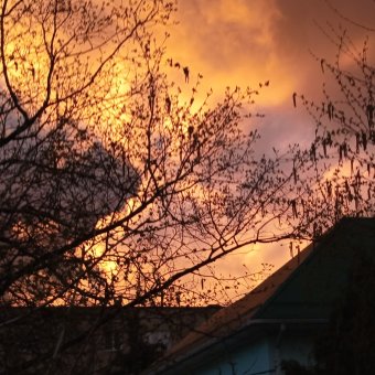 Стандартный