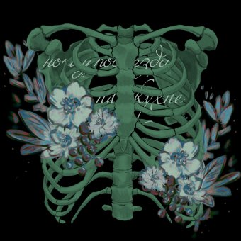 Открытое кровоцветение