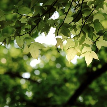 Альбом из глубинки