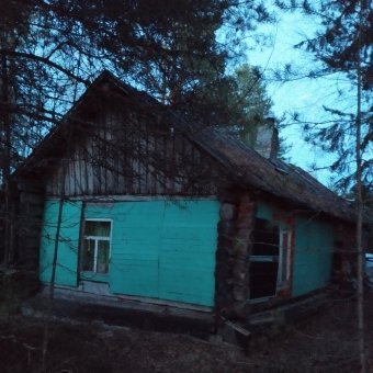 Любимая