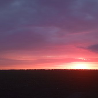 Летний