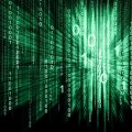 Битва началась!