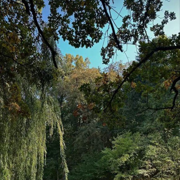 Обложка трека