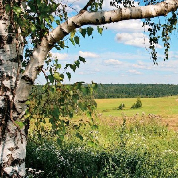 Обложка трека