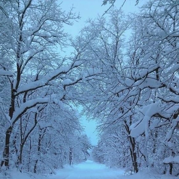 Обложка трека