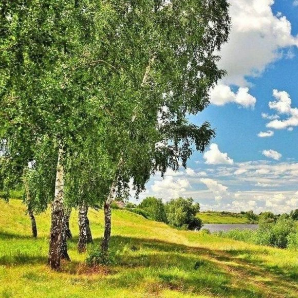 Обложка трека