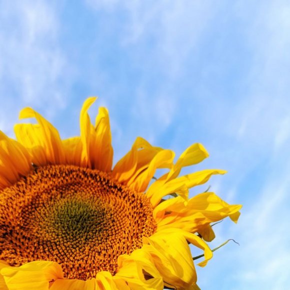 Обложка трека