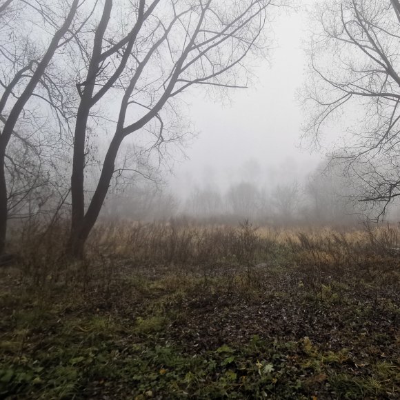 Обложка трека