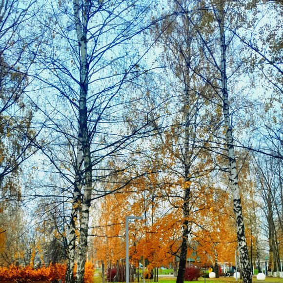 Обложка трека