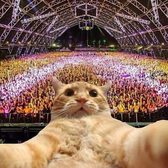 Обложка трека