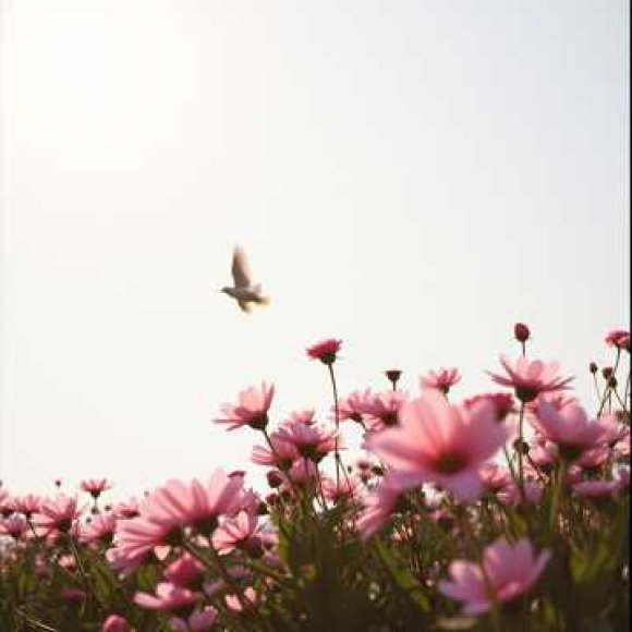 Обложка трека