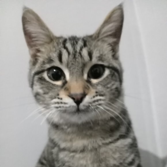 Обложка трека