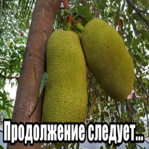 Обложка трека