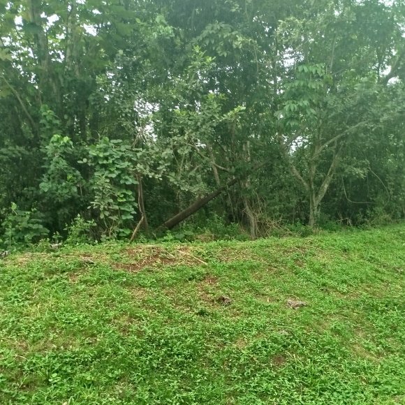 Обложка трека