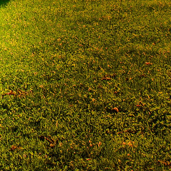 Обложка трека