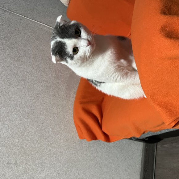 Обложка трека