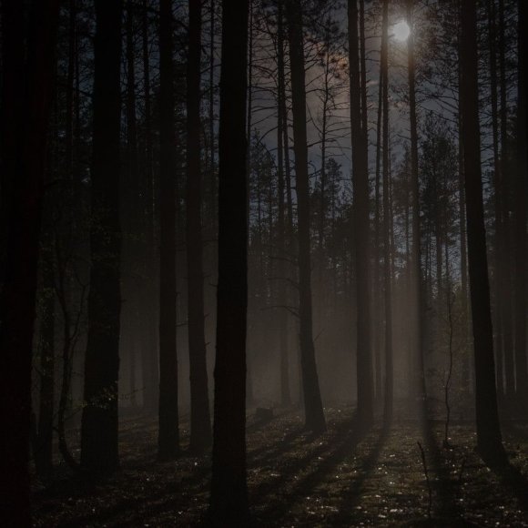 Обложка трека