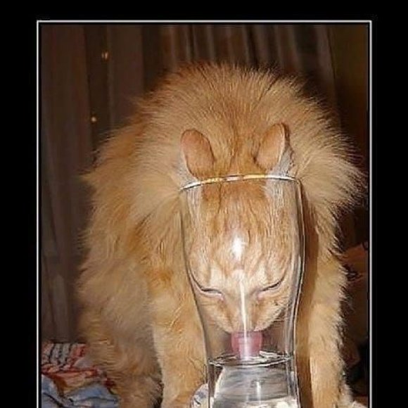 Обложка трека