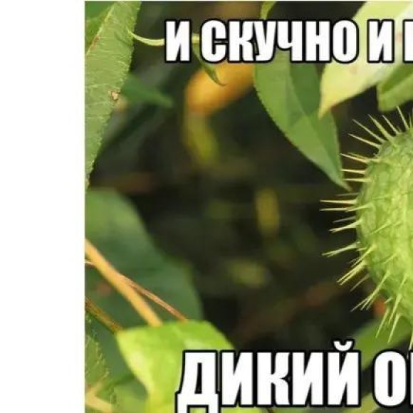 Обложка трека