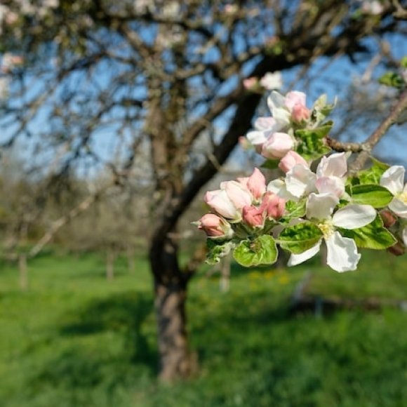 Обложка трека