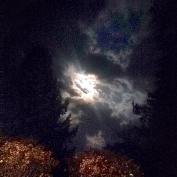 Обложка трека