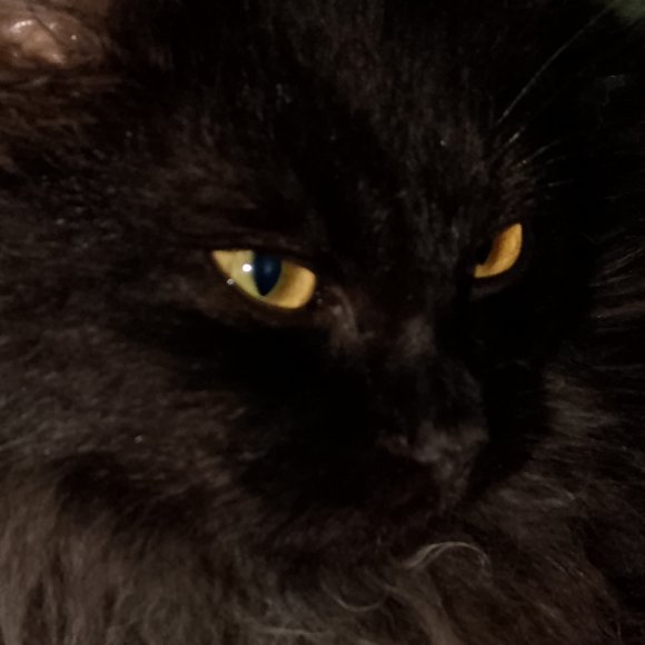 Обложка трека