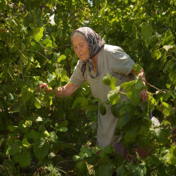 Обложка трека