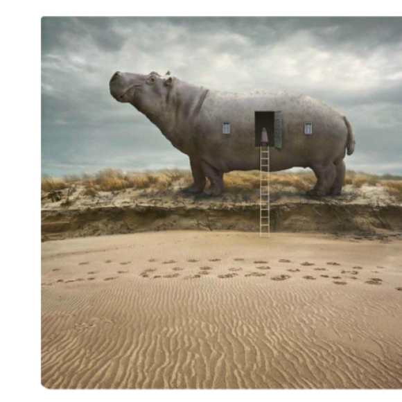 Обложка трека