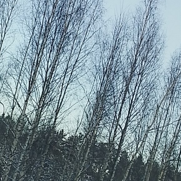 Обложка трека